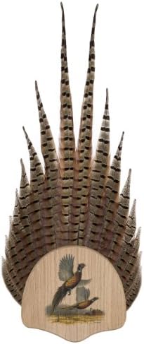 Walnut Hollow Country Solid Wood Pheasant Tail Mount & Display Kit with James Meger Image on Oak for Hunters, Oak with Pheasants Vignette