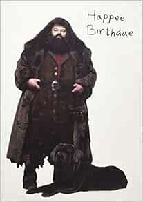 Harry Potter Hagrid S Cake Pop Up Card Amazon Com Books