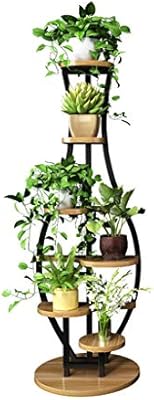 Jardinería Inicio De Flores Sala De Estar De Pie Interior ...