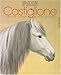 Castiglione jésuite italien et peintre chinois 1688-1766 (French Edition) by 