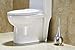 Shari Toilet Bowl Brush Stainless Steel Ball Holder - Swan(Silver)
