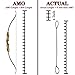 Replacement Archery Bowstring for Traditional Recurve Bows 64