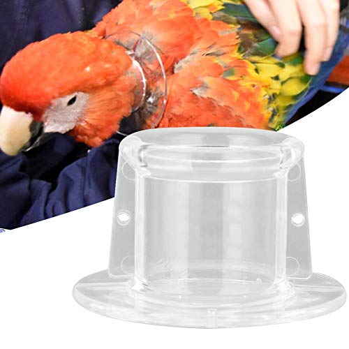 Fdit Parrot Collar Bird Feather Protection Shield (M)
