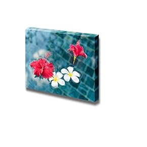 Plumeria and Hibiscus Flowers Floating on Surface of Clear Water - Canvas Art Wall Art - 12" x 18"