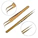 Straight & Curved Tweezers 2 Pieces Eyelash Extension Tweezers Set Stainless Steel Tweezers Lash Extension Tweezers Eye Makeup Tools (Gold)