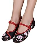 AvaCostume Embroidery Womens Classics Flats Rubber Sole Casual Shoes