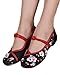 AvaCostume Embroidery Womens Classics Flats Rubber Sole Casual Shoes