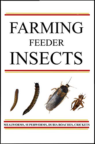 Farming Feeder Insects A Guide Jeff Jech 9781687626004 Amazon