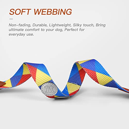 QUIQUE Roam Dog Collars for Medium Dogs/Small Dogs, Reflective