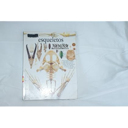 Esqueletos (Eyewitness Series in Spanish)