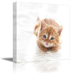 Cute Little Red Kitten Cat Lies on White Fur Blanket Cute Pet Animal Photograph - Canvas Art Wall Art - 12" x 12"