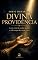 Livro Sob o olhar da Divina Providência: A arte cristã de confiar quando a vida escapa das nossas mãos (Coleção Doutrina Editora Homilias Livro 6)