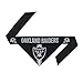 Littlearth Las Vegas Raiders NFL Pet Bandana