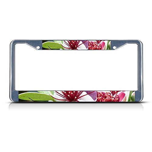 License Plate Frame FEIJOA Flower Chrome Metal Tag Border