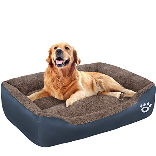 large covered dog bed
