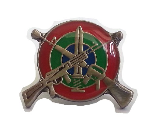 Israeli army IDF SNIPER expert pin M16 Galil rifle gun