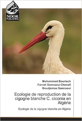 Ecologie De Reproduction De La Cigogne Blanche C Ciconia En Algerie Ecologie De La Cigogne Blanche En Algerie Omn Noor Publis French Edition Bouriach Mohammed Samraoui Chenafi Farrah Samraoui Boudjemaa Amazon Com Books