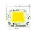 GLW Waterproof 50W LED Driver Power Supply Barretter and 3000k Warm White Led Chip Bulb DIY