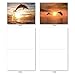 The Best Card Company - 10 Blank Animal Cards Boxed (4 x 5.12 Inch) - Assorted Pets, Zoo, Wildlife Cards for Kids - Sunset Dolphins M6460OCB-NB