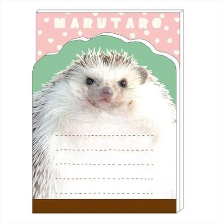 Amazon Co Jp ハリネズミ まるたろう メモ帳 ミニメモパッドアニマル Arhm75 おもちゃ
