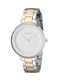 Skagen Women's SKW2339 Ditte Two Tone Silver and Gold Link Watch