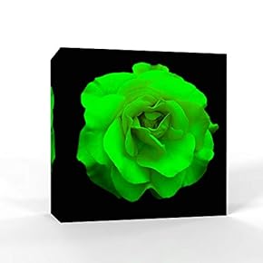 Wall26-Canvas Wall Art-Black Back Ground Flower-Giclee Painting Wall Bedroom Living House Decoration Home Art - 12x12 inches