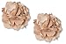 Absolutely Audrey Gia Beige Shoe Clip Flowers