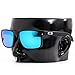 Polarized Ikon Iridium Replacement Lenses for Oakley Holbrook Sunglasses - Ice Mirror