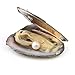Oyster Pearl Wholesale Freshwater Cultured Pearl Inside Oyster with Necklace Oyster Pearl Bulk Love Wish Pearl for Jewelry Making with 6.5-7.5mm Round Pearls Inside (10 PCS/lot)