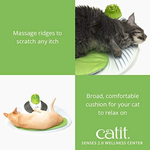Catit Masażer dla Kotów, Kolorowy: Amazon.pl: Beauty