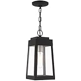 Livex Lighting 20854-04 Oslo - One Light Outdoor Hanging Lantern, Black Finish with Clear Glass