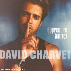 david charvet apprendre a aimer