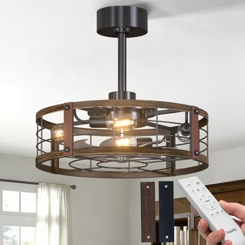 Passky 20 Inch Caged Fandelier