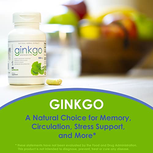 VH Nutrition GINKGO BILOBA Maximum Strength Memory, Focus, and Brain