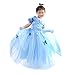 Loel Cinderella Dress Princess Costume Simulation Butterfly Dress,120cm for 4-5YS