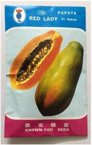 Pinkdose RED Lady PAPAYA Seeds Seed