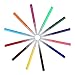 Shinehalo 12pcs Washable Watercolor Markers Pen Set, Color Pen Set Line Drawing Pen Point Markers for Electric Spray Paint Pen Spray Art, Painting Air Marker Sprayer Set