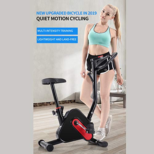 Nesee Indoor Spinning Bicycle Ultra-Quiet Exercise Bike Home Bicycle Fitness Equipment LCD Display Perfect Home Exercise Machine for Cardio(Ship from US)