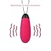 ZEMALIA Doris Vibrators Adult Sex Toys Remote Control Vibrating Silicone Bullet Egg USB Rechargeable Vibe Toy for Female Sex Wand Massager Sexual Wellness Discreet Packaging(Plum Red)