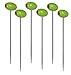 Prodyne Cocktail Picks, Set of 6, Green