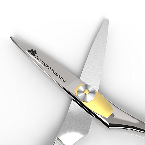 Equinox Professional Razor Edge Hair Cutting Scissors/Shears - (6.5") Finger Inserts and Adjustment Tension Screw, 100% Stainless Steel, Great For Salons, Barber-Shops, and Hair Enthusiasts