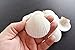 25 White Florida Scallop Shells (About 2