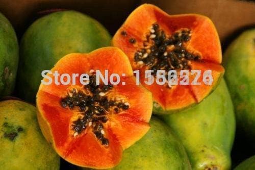 Remarkable Hawaiian Dwarf Papaya"Solo Sunrise" aka"Strawberry Papaya" semillas sementes (50)