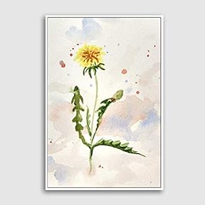 SIGNFORD Framed Canvas Home Artwork Decoration Watercolor Painting...