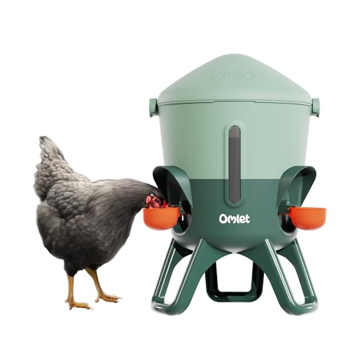 Omlet Isolierter Wasserspender für Hühner 5,5 Liter | Automatische Geflügeltränke für Hühner | Sauberes Trinkwasser | BPA-frei | Anti-Sitzkuppel | Sch