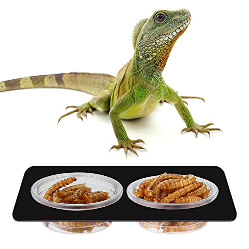 500 Pieces 0.5 oz Gecko Food and Water Cups Small Plastic Feeder Cups