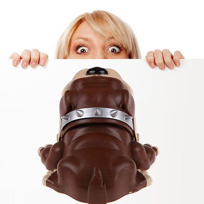 4 Luck+Bulldog+Dentist+Game+Crocodile