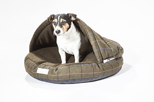 collared creatures dog cave bed