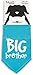 Pavilion Gift Company Big Brother Blue Paw Print Large Dog Slip on The Collar Bandanna,