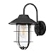 Globe Electric Matthews 1-Light Outdoor Indoor Wall Sconce, Matte Black, Seeded Glass Shade 44333
